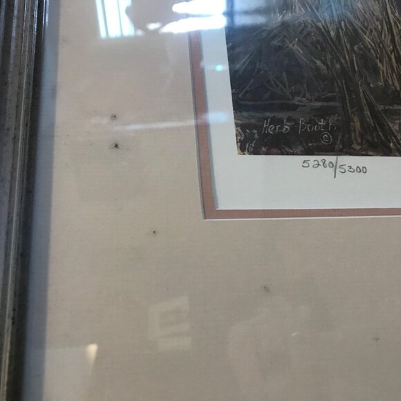 Wetlanders Herb Booth Ducks Unlimited 1991 Flyway Numbered Signed Framed Print - Picture 16 of 16